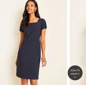 Navy Ann Taylor Dress